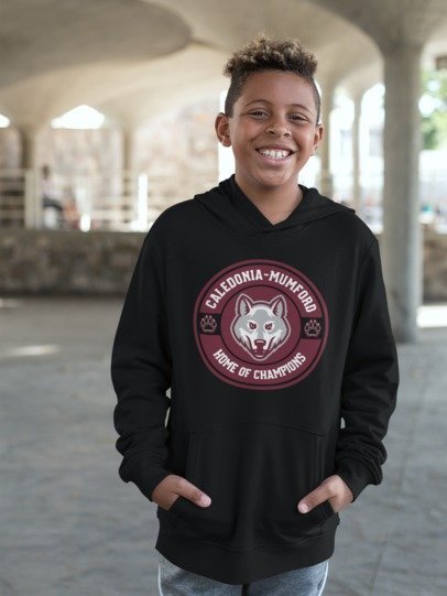 youth hoodie home of champions logo